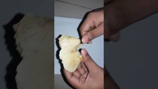 Temporal bone Part1Bangla tutorial [upl. by Linsk43]