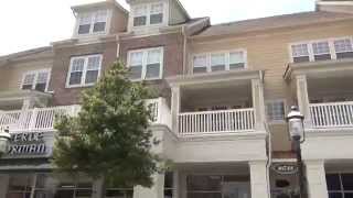 Charlotte Realtor® Neighborhood Tour  Birkdale Village Homes For Sale [upl. by Alleyne399]