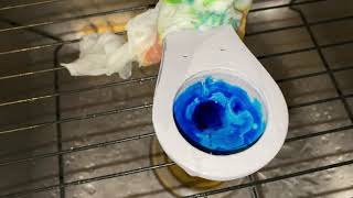 Miniature Aquamax Toilet Dye Test [upl. by Thisbee251]