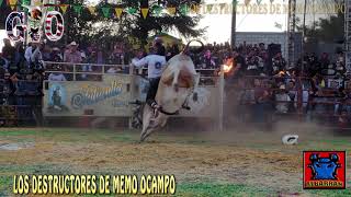 PICARDIA MEXICANA DE DESTRUCTORES CON BORREGO DE BARRANCAS EN TRES MARIAS [upl. by Gladdie]