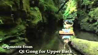 Qi Gong for Upper Back and Neck Pain with Lee Holden [upl. by Meehahs90]