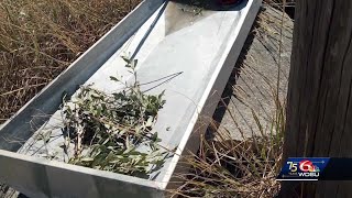 Louisiana shrimper survives being stranded by sailing home on a makeshift raft [upl. by Norvell]