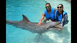 Swim with Dolphins in Cancun 2024 [upl. by Euqinor]