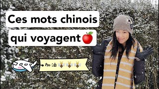 Les mots chinois qui voyagent ✈✈✈ [upl. by Gnav]