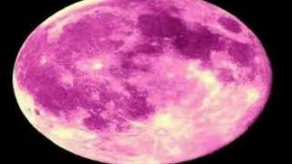 Beck  Pink Moon [upl. by Noby]