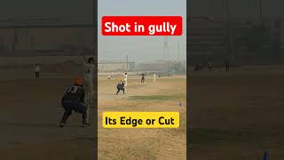 Shot in Gully cricket battingtips cricketshorts trendingshorts [upl. by Atiekal]