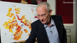 Chablis explained by JeanPierre Renard [upl. by Odilo]