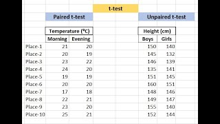 How to perform ttest in Excel [upl. by Greenebaum186]