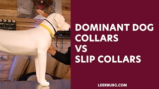 Dominant Dog Collars vs Slip Collars [upl. by Orlina61]