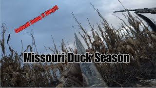 Missouri Duck Hunting Gadwall to the Rescue [upl. by Franklin]