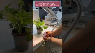 Plant growth lamp plant light inchplant plantgrowth chianfactory [upl. by Ayenat379]