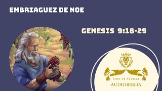 8 Embriaguez de Noé  Génesis 91829  Audiobiblia para Niños  RVR 1960 [upl. by Yorgen]