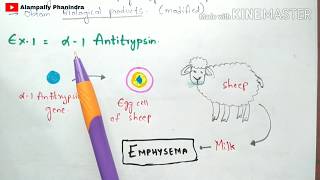 Animal Transgenesis  Transgenic animals  Process  Examples  Bio science [upl. by Oniuqa346]