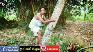 sangeeth satharasinghe  pol kadima  සුරංගේ මසුරං  පොල් කැඩීම [upl. by Fortuna]