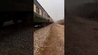 Train vs Indian Bat 🏏 railaddictrik railtrack railway railwayline railwaytrack railwayroute [upl. by Nicola]