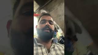 ISBT 43 Chandigarh bus stand da hall dakho 😡love cat punjabi food funny [upl. by Aytnahs]