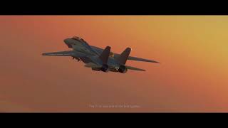 DCS F14 Flight Model  Ep 1  quotThe Basicsquot [upl. by Hamlet]