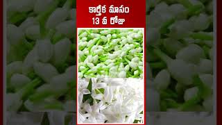 కార్తీక మాసం 13 వ రోజు EBhakthi [upl. by Yerac746]