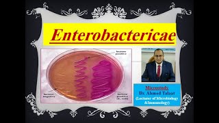 Enterobacteriaceae quotMedical Microbiologyquot [upl. by Hu384]