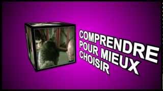 SIEP  DVD Lalternance  Clip vidéo [upl. by Noskcire]