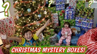 BIGGEST CHRISTMAS HAUL OF MYSTERY BOX PRESENTS SANTA BROUGHT ETHANS FAVORITE SUPRISES Part 2 [upl. by Nivlem623]