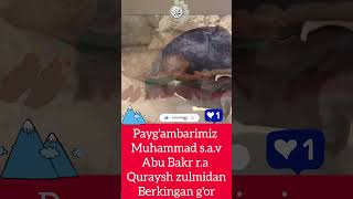 Paygambarimiz Muhammad sav 🔥 shoes uzkino kinolar shortsviral uzbekkino [upl. by Asserrac]