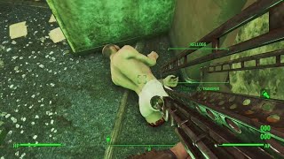 Fallout 4  Reunions Quest  Follow Dogmeat Kill Kellogg [upl. by Dorca]