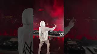 Alan Walker  Alone lyrics lyricshorts alanwalkerconcert walkerworld alone alanwalker [upl. by Almeida567]