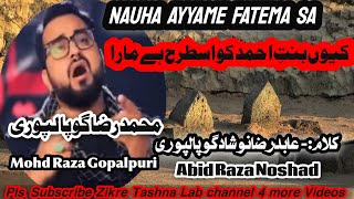 Ayega Muntaqime Zahra  Ayyame Fatemi Nauha  Mohammed Raza Gopalpuri  yazahra noha masaib [upl. by Aiclef636]