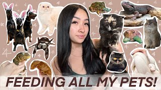 FEEDING ALL MY 25 PETS [upl. by Apps]