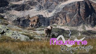 Maurienne Reportage 137  Clip Haute Maurienne Vanoise [upl. by Euqnomod]