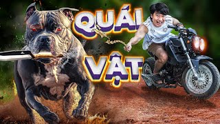 𝐓𝐨𝐧𝐲  Sinh Nhật 36 Tuổi Của Quái Vật Bull Đệ 🍖 [upl. by Kaltman]