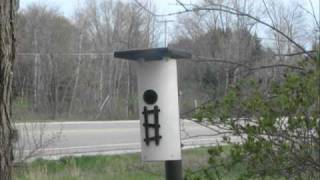 Chickadee Nesting Tube [upl. by Tyoh]