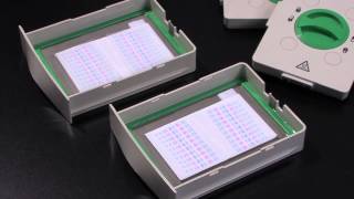 Protein Blotting Using the TransBlot® Turbo™ Transfer System [upl. by Ailen]