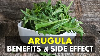 Arugula Benefits and Side Effect Is Arugula Good For You [upl. by Rhea]