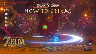 Breath of the Wild  Calamity Ganon Boss Fight Guide [upl. by Hamfurd933]