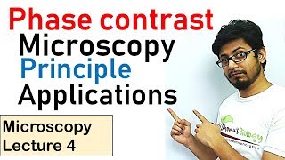 Phase contrast microscopy principle and working [upl. by Cand61]