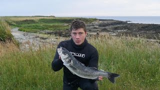 Spearfishing with massive Bass shoals in North Wales [upl. by Mitman]