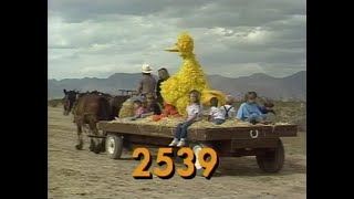 Sesame Street  Episode 2539 1989 A Birthday Party For Barkley [upl. by Rhett]