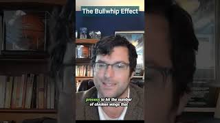 The Bullwhip Effect in Agricultural Economics [upl. by Acemahs]