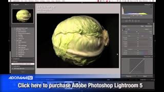 Fine Art Still Life Ep 138 Exploring Photography with Mark Wallace [upl. by Asihtal]