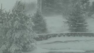 Epic Snowstorm  Howling Blizzard Sounds  Heavy Wind amp Snow  Perfect Sounds For Sleep [upl. by Aretta]