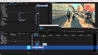 How to Mask a Moving Object in Your Video with Premiere Pro CC [upl. by Burd179]