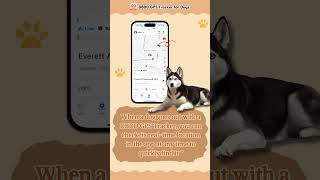 quotStay Connected to Your Pets Trust DBDD GPS Trackers for Ultimate Securityquot dog gps tracker [upl. by Demmahom589]