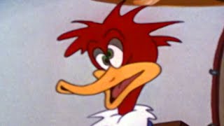 Woody Woodpecker  Smoked Hams  Woody Woodpecker Full Episode  Old CartoonsVideos for Kids [upl. by Rengia]