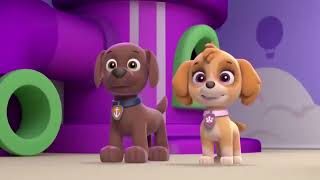 paw patrol official amp friends paw patrol cartoon in Hindi paw patrol 01 [upl. by Inahc]