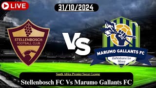 Stellenbosch FC Vs Marumo Gallants FC Live Football Match Score Today HD 31OCT24southafrica [upl. by Gnad]