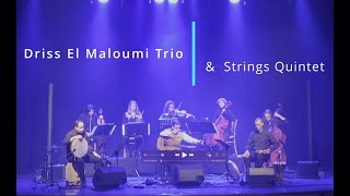 Driss El Maloumi Trio amp Strings Quintet en showcase [upl. by Kauffman]