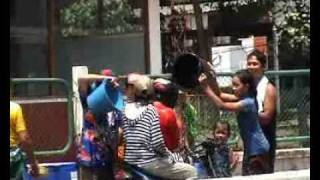 Songkran nouvel an thailandais [upl. by Enomes]