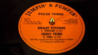 Smart Systems  Tingler Four By Four Mix [upl. by Lleral]